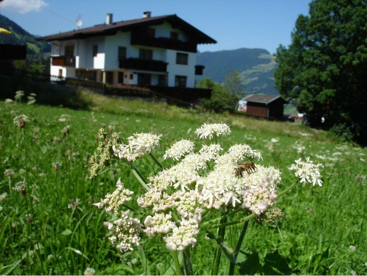 Appartement Hollaus Fügen Kültér fotó